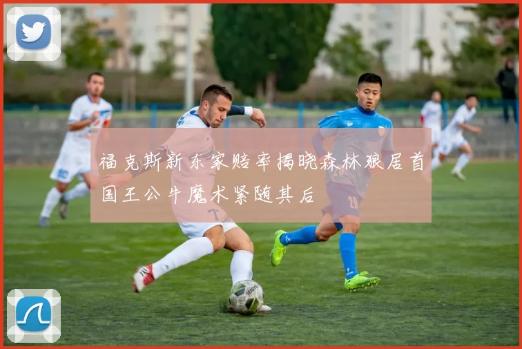 福克斯新东家赔率揭晓森林狼居首国王公牛魔术紧随其后