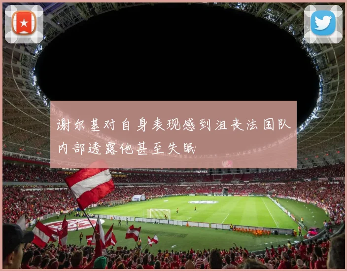 谢尔基对自身表现感到沮丧法国队内部透露他甚至失眠